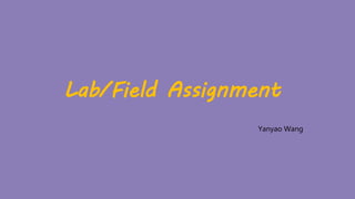 Lab/Field Assignment
Yanyao Wang
 