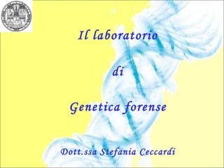 Il laboratorio di Genetica forense Dott.ssa Stefania Ceccardi 