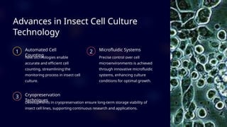Insect Cell Line Animation Lab Grown Insect Meat-A Chemical and Biological Exploration | PPT