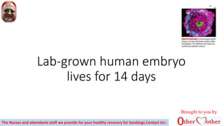 Lab-grown human embryo
lives for 14 days
Brought to you by
The Nurses and attendants staff we provide for your healthy recovery for bookings Contact Us:-
 