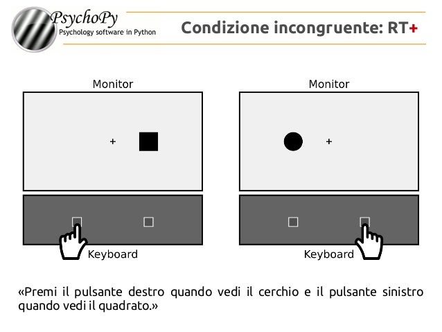 rand int psychopy rand int psychopy