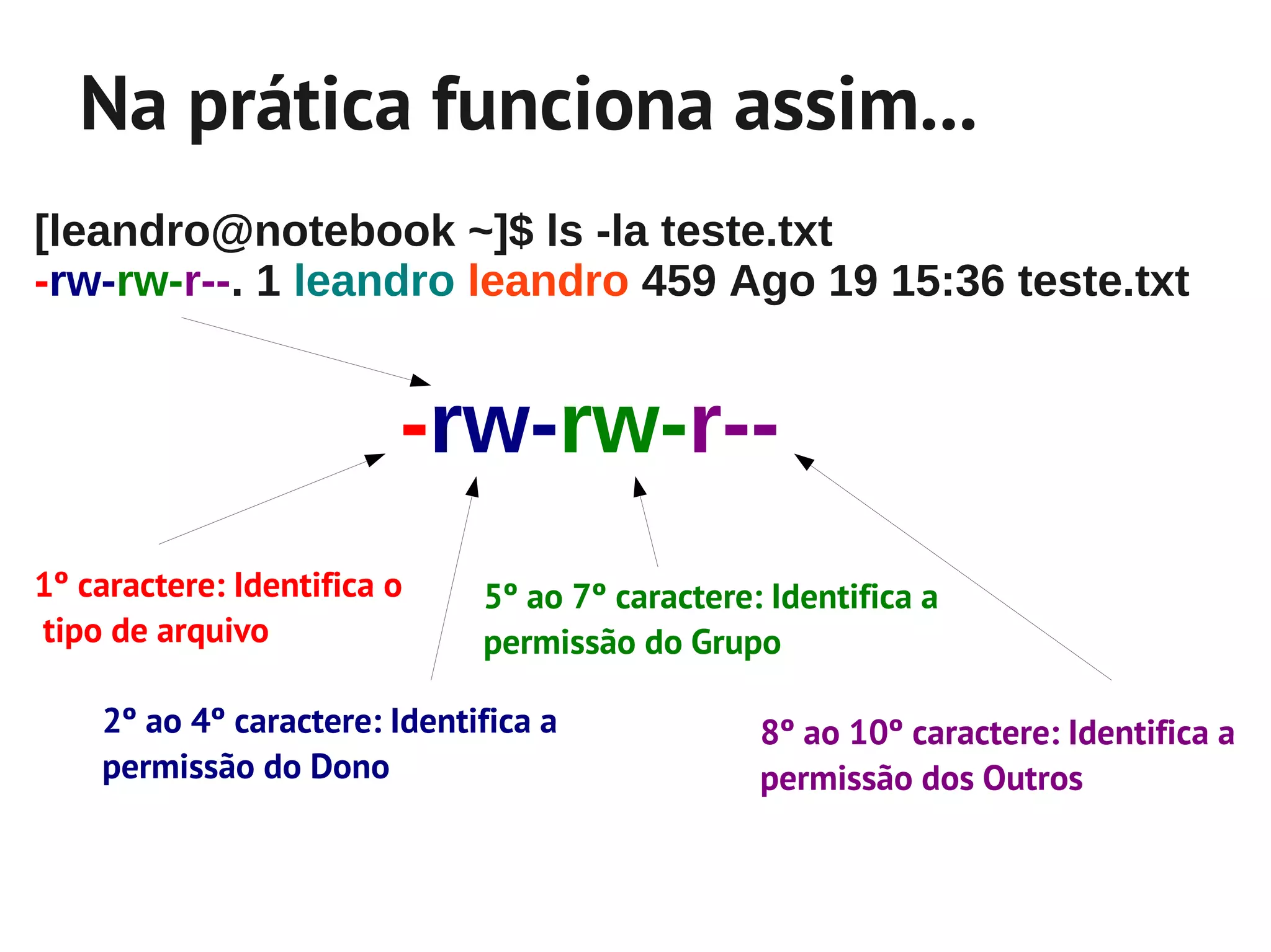 Na prática funciona assim...
[leandro@notebook ~]$ ls -la teste.txt
-rw-rw-r--. 1 leandro leandro 459 Ago 19 15:36 teste.txt


                         -rw-rw-r--
1º caractere: Identifica o    5º ao 7º caractere: Identifica a
tipo de arquivo               permissão do Grupo

    2º ao 4º caractere: Identifica a             8º ao 10º caractere: Identifica a
    permissão do Dono                            permissão dos Outros
 