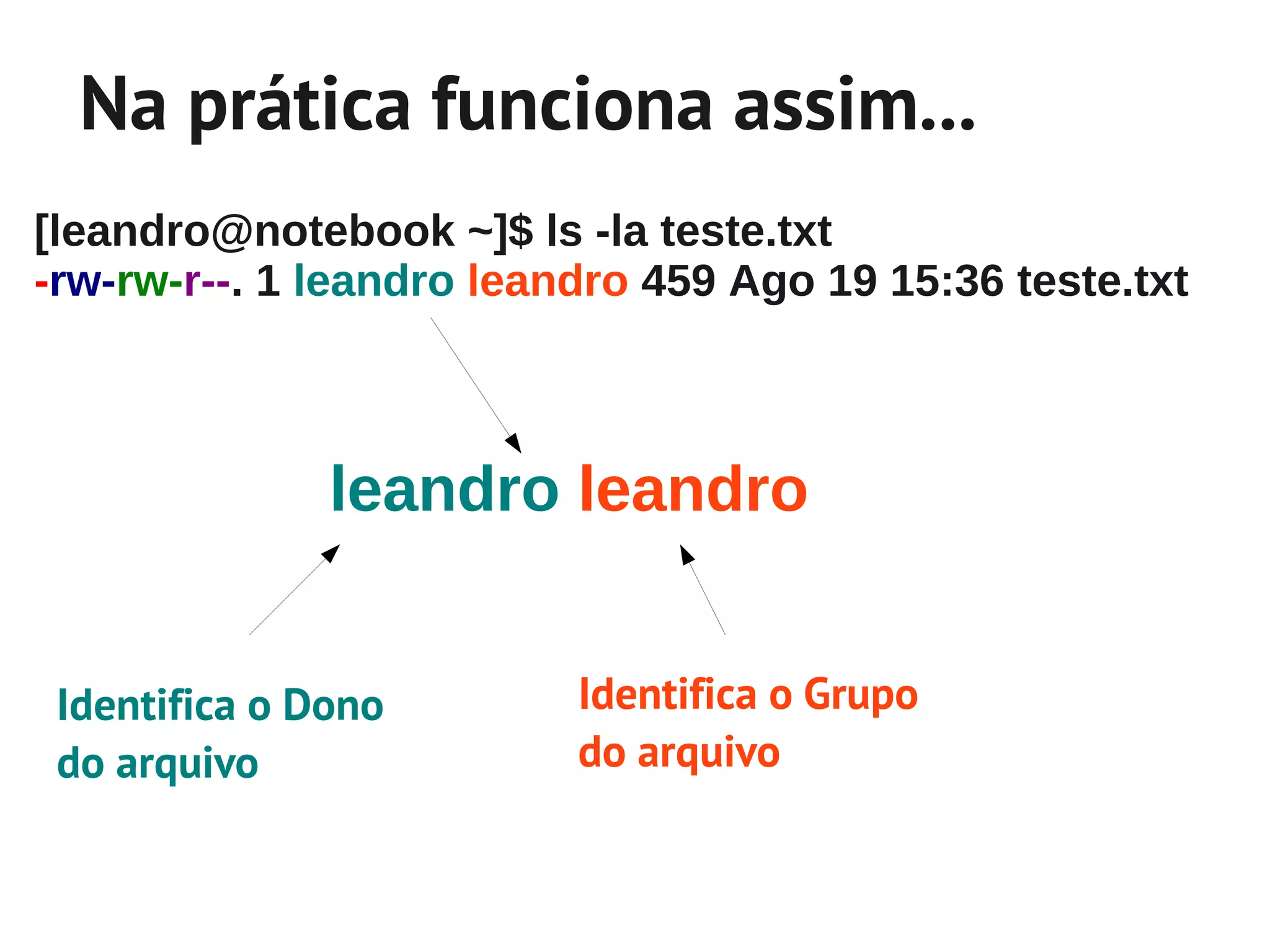 Na prática funciona assim...
[leandro@notebook ~]$ ls -la teste.txt
-rw-rw-r--. 1 leandro leandro 459 Ago 19 15:36 teste.txt



               leandro leandro


 Identifica o Dono        Identifica o Grupo
 do arquivo               do arquivo
 