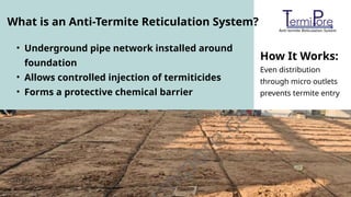 Termicite Injection Lab-Tested Durability for Long-Term Anti-Termite Protection .pptx