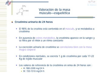 Valoración de la masa
                     músculo—esquelética

Creatinina urinaria de 24 horas

   El 98% de la creatina está contenida en el músculo, y se metaboliza a
   creatinina

   En ausencia de estrés metabólico, la creatinina aparece en la sangre y
   se filtra por el riñón a un ritmo constante

   La excreción urinaria de creatinina se correlaciona bien con la masa
   magra corporal

   En condiciones normales, se excreta 1 g de creatinina por cada 17-22
   Kg de tejido muscular

   Los valores de referencia de la creatinina en orina de 24 horas son :
       H: 980-2200 mg/24 h
       M: 720-1510 mg/24 h
 