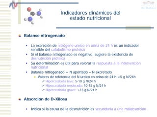 Indicadores dinámicos del
                         estado nutricional


Balance nitrogenado

   La excreción de nitrógeno ureico en orina de 24 h es un indicador
   sensible del catabolismo proteico
   Si el balance nitrogenado es negativo, sugiere la existencia de
   desnutrición proteica
   Su determinación es útil para valorar la respuesta a la intervención
   nutricional
   Balance nitrogenado = N aportado – N excretado
       Valores de referencia del N ureico en orina de 24 h:<5 g N/24h
            Hipercatabolia leve: 5-10 g N/24 h
            Hipercatabolia moderada: 10-15 g N/24 h
            Hipercatabolia grave: >15 g N/24 h

Absorción de D-Xilosa

   Indica si la causa de la desnutrición es secundaria a una malabsorción
 