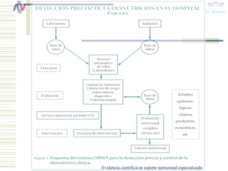 Evidencia científica en soporte nutricional especializado
 