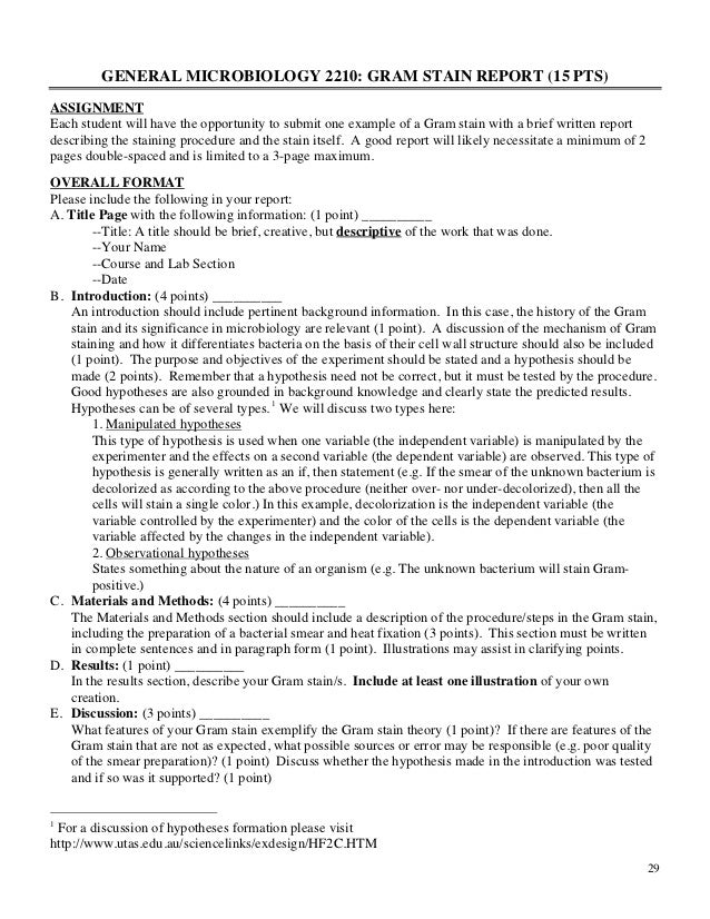 Example of a Great Essay | Explanations, Tips & Tricks