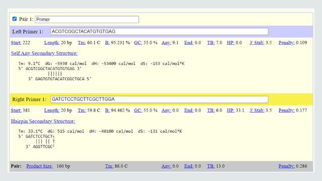 PRIMER DESIGNING.pptx | Genetics | Science