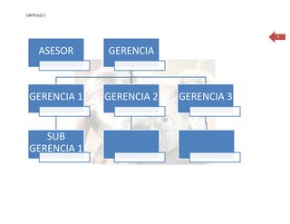 CAPITULO 1




                                         5



      ASESOR   GERENCIA



 GERENCIA 1    GERENCIA 2   GERENCIA 3


    SUB
 GERENCIA 1
 