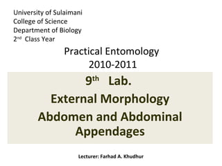 University of Sulaimani
College of Science
Department of Biology
2nd Class Year
                Practical Entomology
                      2010-2011
                9 Lab.    th

          External Morphology
        Abdomen and Abdominal
              Appendages
                     Lecturer: Farhad A. Khudhur
 