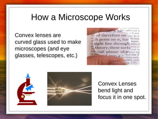 How a Microscope Works 
Convex lenses are 
curved glass used to make 
microscopes (and eye 
glasses, telescopes, etc.) 
Convex Lenses 
bend light and 
focus it in one spot. 
 