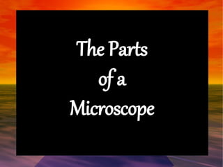 The Parts 
of a 
Microscope 
 