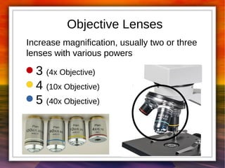 Objective Lenses 
Increase magnification, usually two or three 
lenses with various powers 
3 (4x Objective) 
4 (10x Objective) 
5 (40x Objective) 
 