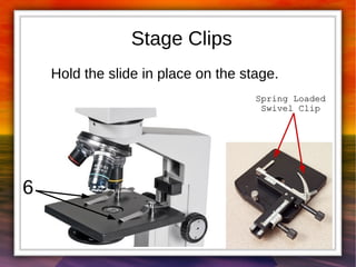 Stage Clips 
Hold the slide in place on the stage. 
6 
SSpprriinngg LLooaaddeedd 
SSwwiivveell CClliipp 
 