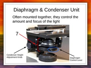 Diaphragm & Condenser Unit 
Often mounted together, they control the 
amount and focus of the light 
7 
Condenser Height 
Adjustment Knob Diaphragm 
Control Lever 
 