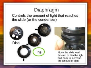 Diaphragm 
Controls the amount of light that reaches 
the slide (or the condenser) 
Iris 
Disc 
Move the slide level 
forward to dim the light 
and back to increase 
the amount of light 
 