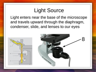 Light Source 
Light enters near the base of the microscope 
and travels upward through the diaphragm, 
condenser, slide, and lenses to our eyes 
8 
 