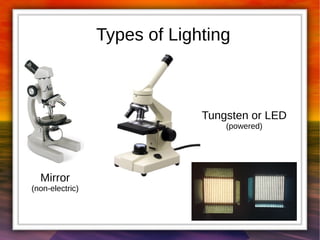 Types of Lighting 
Mirror 
(non-electric) 
Tungsten or LED 
(powered) 
 