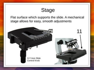 Stage 
Flat surface which supports the slide. A mechanical 
stage allows for easy, smooth adjustments 
11 
X-Y Axis Slide 
Control Knob 
 