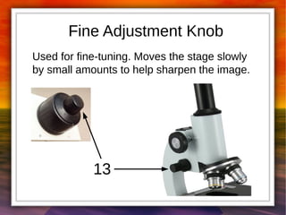 Fine Adjustment Knob 
Used for fine-tuning. Moves the stage slowly 
by small amounts to help sharpen the image. 
13 
 
