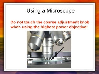 Using a Microscope 
Do not touch the coarse adjustment knob 
when using the highest power objective! 
 