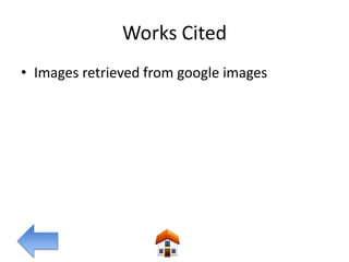 Works Cited
• Images retrieved from google images
 