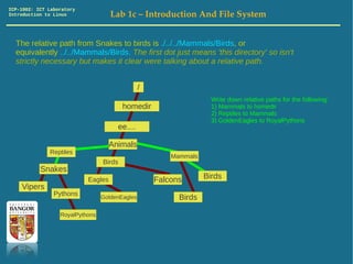 ICP-1002: ICT Laboratory
Introduction to Linux               Lab 1c – Introduction And File System


  The relative path from Snakes to birds is ./../../Mammals/Birds, or
  equivalently ../../Mammals/Birds. The first dot just means 'this directory' so isn't
  strictly necessary but makes it clear were talking about a relative path.


                                                /
                                                                    Write down relative paths for the following:
                                         homedir                    1) Mammals to homedir
                                                                    2) Reptiles to Mammals
                                                                    3) GoldenEagles to RoyalPythons
                                      ee....

                                    Animals
              Reptiles
                                                        Mammals
                                 Birds
           Snakes
                           Eagles                   Falcons       Birds
    Vipers
                Pythons          GoldenEagles             Birds

                  RoyalPythons
 