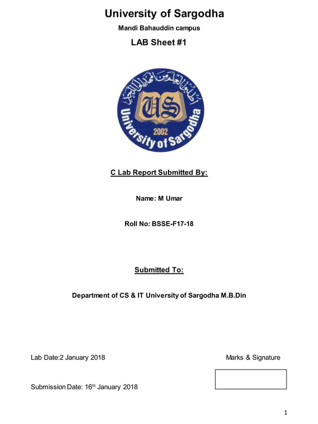 C programming Lab 1 | DOCX image.