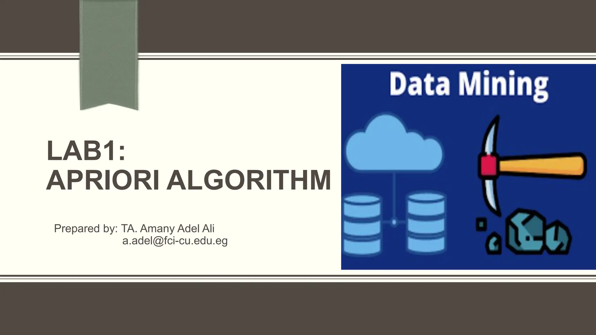 LAB1:
APRIORI ALGORITHM
Prepared by: TA. Amany Adel Ali
a.adel@fci-cu.edu.eg
 