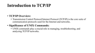 Some basics of Networking protocols and commands | PDF