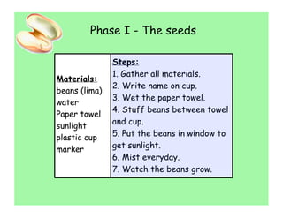 Phase I - The seeds

               Steps:
               1. Gather all materials.
Materials:
               2. Write name on cup.
beans (lima)
               3. Wet the paper towel.
water
               4. Stuff beans between towel
Paper towel
               and cup.
sunlight
plastic cup    5. Put the beans in window to
marker         get sunlight.
               6. Mist everyday.
               7. Watch the beans grow.
 