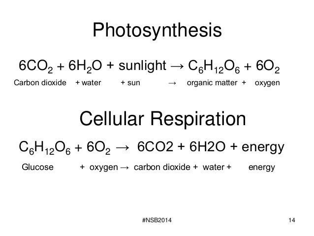 Lab 10 water quality and macroinvertebrate diversity fall 2014
