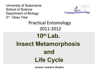 University of Sulaimania
School of Science
Department of Biology
2nd Class Year
               Practical Entomology
                     2011-2012
              10 Lab.      th

       Insect Metamorphosis
                 and
              Life Cycle
                   Lecturer: Farhad A. Khudhur
 