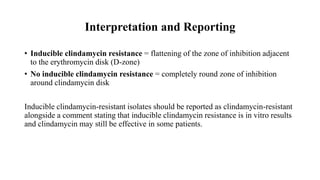 Interpretation and Reporting
• Inducible clindamycin resistance = flattening of the zone of inhibition adjacent
to the erythromycin disk (D-zone)
• No inducible clindamycin resistance = completely round zone of inhibition
around clindamycin disk
Inducible clindamycin-resistant isolates should be reported as clindamycin-resistant
alongside a comment stating that inducible clindamycin resistance is in vitro results
and clindamycin may still be effective in some patients.
 