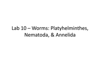 Lab 10 – Worms: Platyhelminthes, Nematoda, & Annelida 