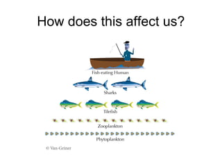 How does this affect us? 
 