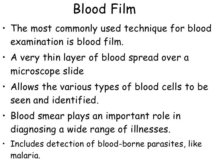 Peripheral blood smear interpretation by physician with a written report image