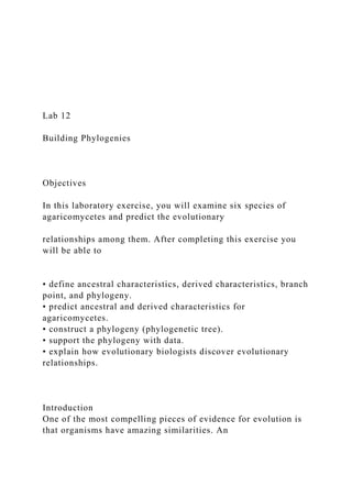 Lab 12
Building Phylogenies
Objectives
In this laboratory exercise, you will examine six species of
agaricomycetes and predict the evolutionary
relationships among them. After completing this exercise you
will be able to
• define ancestral characteristics, derived characteristics, branch
point, and phylogeny.
• predict ancestral and derived characteristics for
agaricomycetes.
• construct a phylogeny (phylogenetic tree).
• support the phylogeny with data.
• explain how evolutionary biologists discover evolutionary
relationships.
Introduction
One of the most compelling pieces of evidence for evolution is
that organisms have amazing similarities. An
 