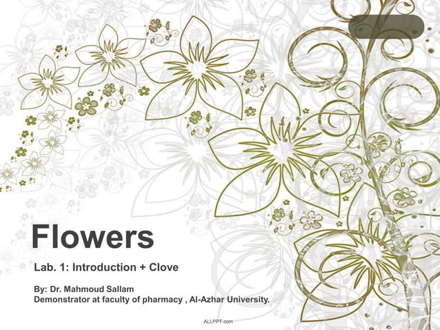 Flowers: Introduction , clove | PPTX