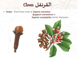 Cloves ‫القرنفل‬
 Origin: Dried flower buds of Eugenia aromatica,
Syzygium aromaticum or
Eugenia caryophyllus, family: Myrtaceae.
 