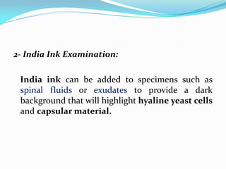 2- India Ink Examination:
India ink can be added to specimens such as
spinal fluids or exudates to provide a dark
background that will highlight hyaline yeast cells
and capsular material.
 