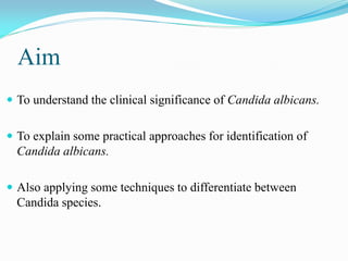 Aim
 To understand the clinical significance of Candida albicans.
 To explain some practical approaches for identification of
Candida albicans.
 Also applying some techniques to differentiate between
Candida species.
 