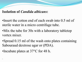 Isolation of Candida albicans:
•Insert the cotton end of each swab into 0.5 ml of
sterile water in a micro centrifuge tube.
•Mix the tube for 30s with a laboratory tabletop
vortex mixer.
•Spread 0.15 ml of the wash onto plates containing
Sabouraud dextrose agar or (PDA).
•Incubate plates at 37C for 48 h.
.
 