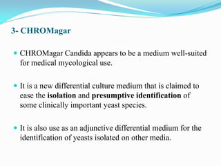  CHROMagar Candida appears to be a medium well-suited
for medical mycological use.
 It is a new differential culture medium that is claimed to
ease the isolation and presumptive identification of
some clinically important yeast species.
 It is also use as an adjunctive differential medium for the
identification of yeasts isolated on other media.
3- CHROMagar
 