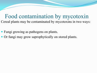Food contamination by mycotoxin
Cereal plants may be contaminated by mycotoxins in two ways:
 Fungi growing as pathogens on plants.
 Or fungi may grow saprophytically on stored plants.
 