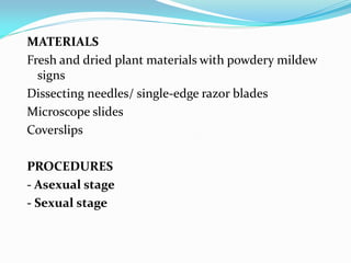 MATERIALS
Fresh and dried plant materials with powdery mildew
signs
Dissecting needles/ single-edge razor blades
Microscope slides
Coverslips
PROCEDURES
- Asexual stage
- Sexual stage
 