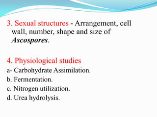 3. Sexual structures - Arrangement, cell
wall, number, shape and size of
Ascospores.
4. Physiological studies
a- Carbohydrate Assimilation.
b. Fermentation.
c. Nitrogen utilization.
d. Urea hydrolysis.
 