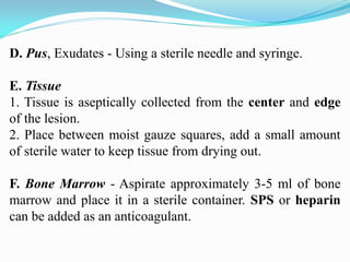 D. Pus, Exudates - Using a sterile needle and syringe.
E. Tissue
1. Tissue is aseptically collected from the center and edge
of the lesion.
2. Place between moist gauze squares, add a small amount
of sterile water to keep tissue from drying out.
F. Bone Marrow - Aspirate approximately 3-5 ml of bone
marrow and place it in a sterile container. SPS or heparin
can be added as an anticoagulant.
 