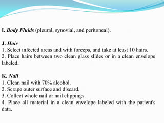I. Body Fluids (pleural, synovial, and peritoneal).
J. Hair
1. Select infected areas and with forceps, and take at least 10 hairs.
2. Place hairs between two clean glass slides or in a clean envelope
labeled.
K. Nail
1. Clean nail with 70% alcohol.
2. Scrape outer surface and discard.
3. Collect whole nail or nail clippings.
4. Place all material in a clean envelope labeled with the patient's
data.
 